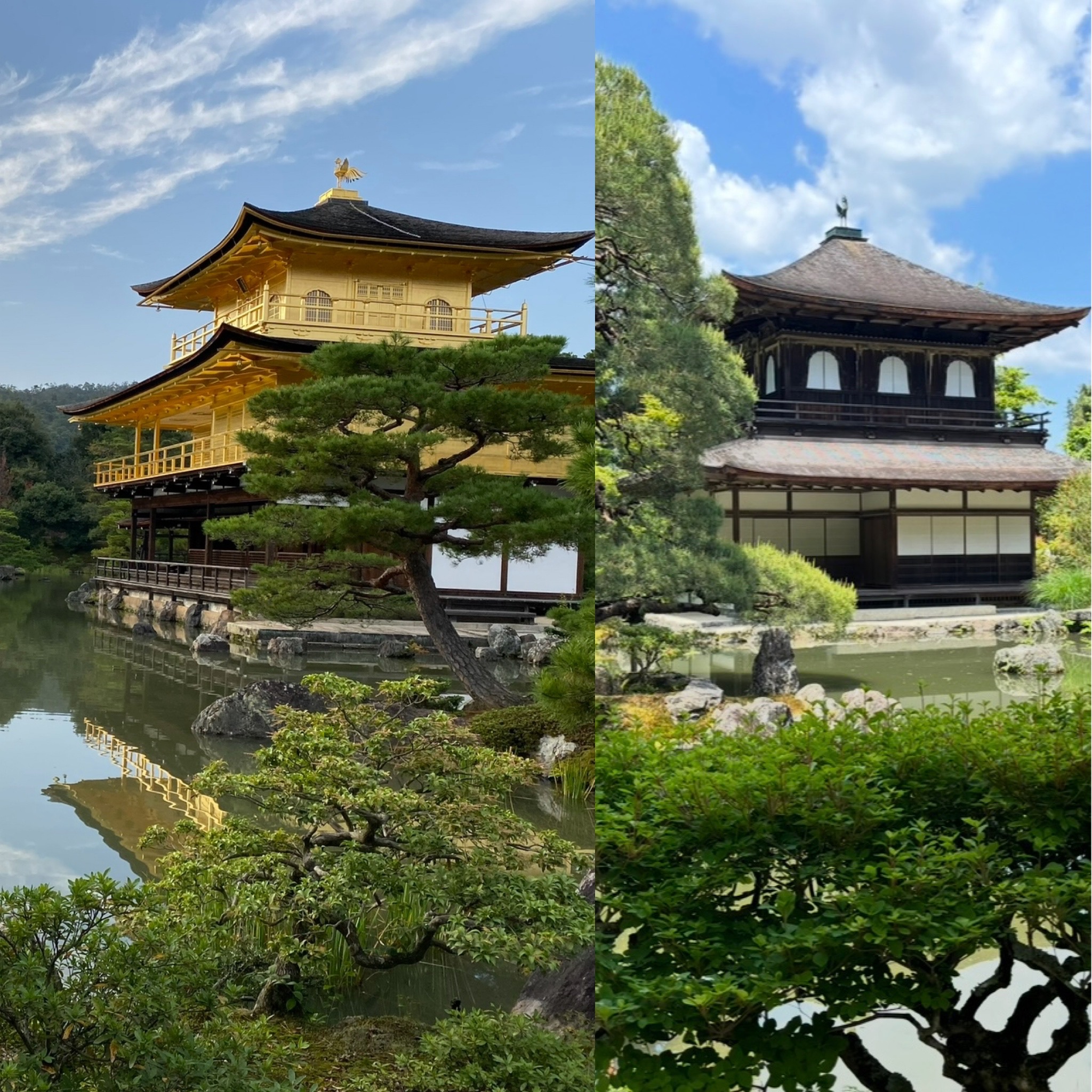 京都的輝煌與簡樸：金閣寺與銀閣寺