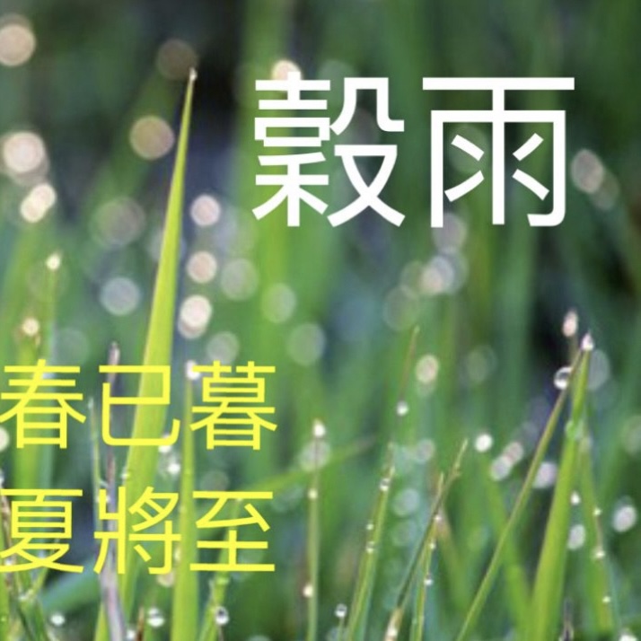 節氣養生_ 穀雨 - Mark哥醫版