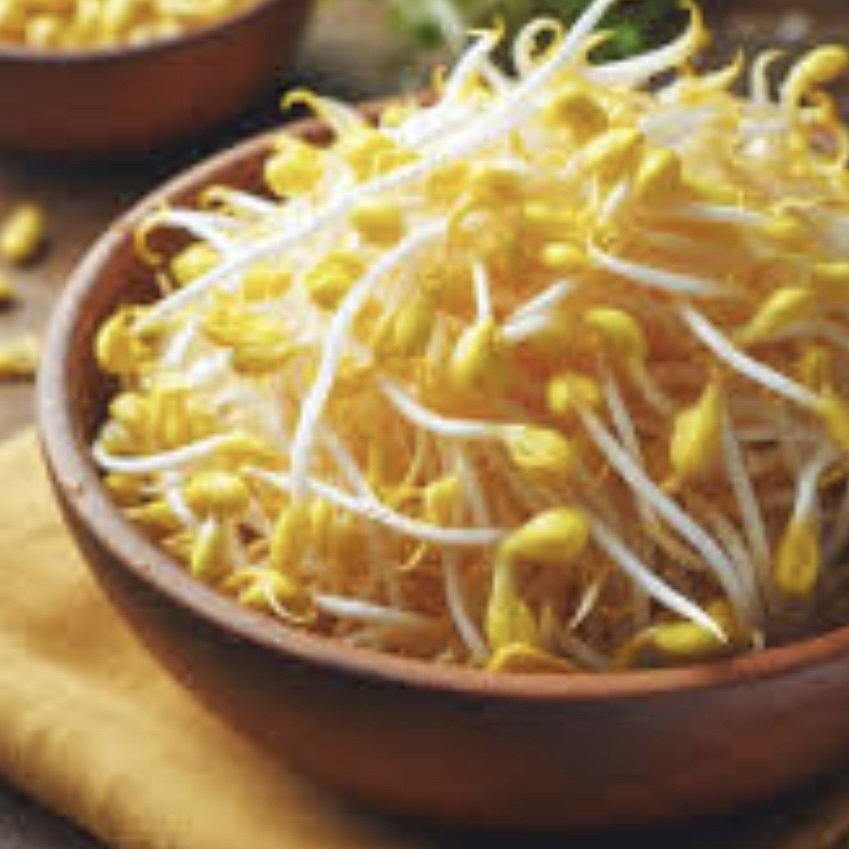 豆芽菜營養大解析 ! 附黃豆芽、綠豆芽的差異 - Mark哥醫師
