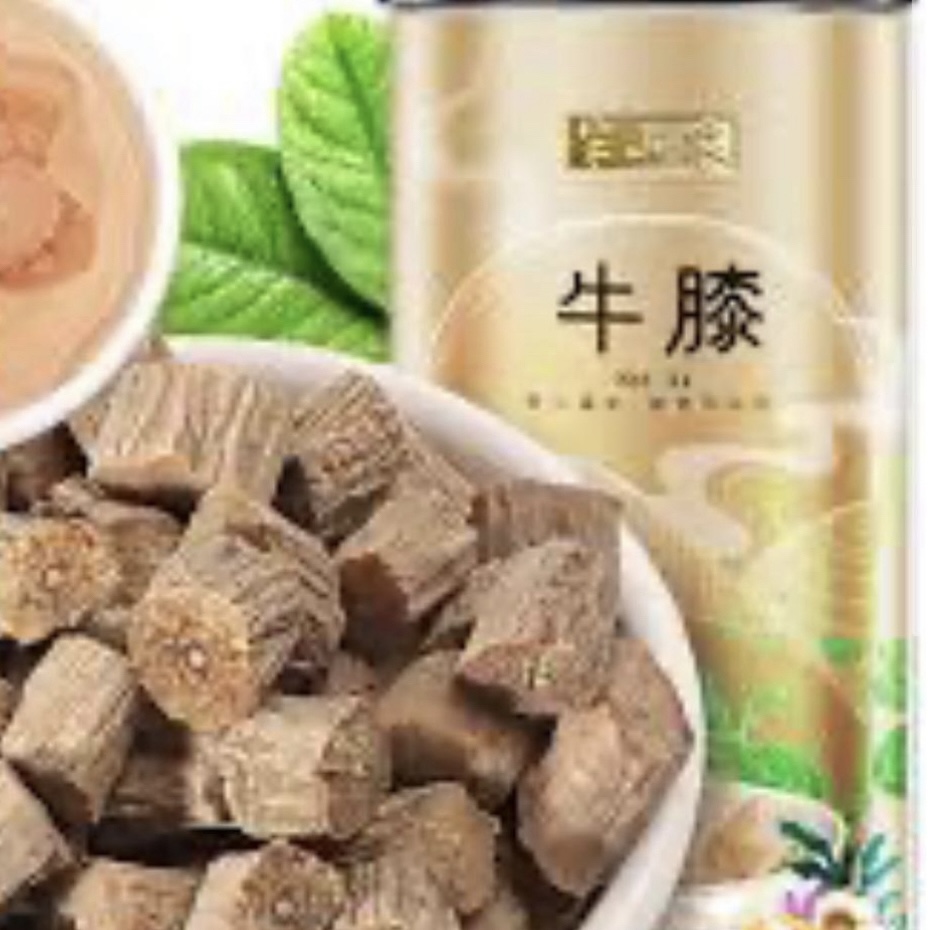 五加當歸牛膝酒-補血益氣抗衰老 - Mark 哥醫師