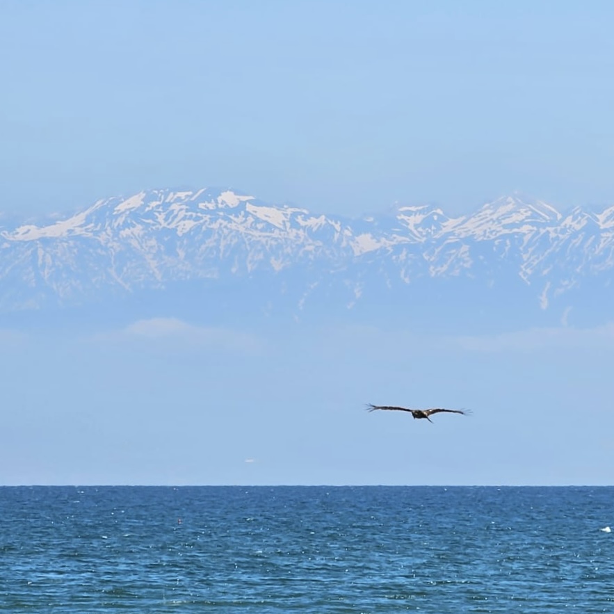 日本北陸「冰見」海岸上的海市蜃樓——立山黑部
