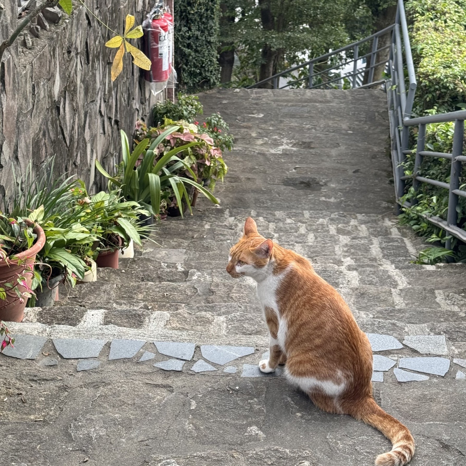 幣少給我們的人生啓示